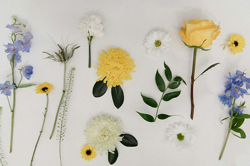 Image by Jennifer Kalenberg