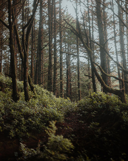 Image by Chris Henry