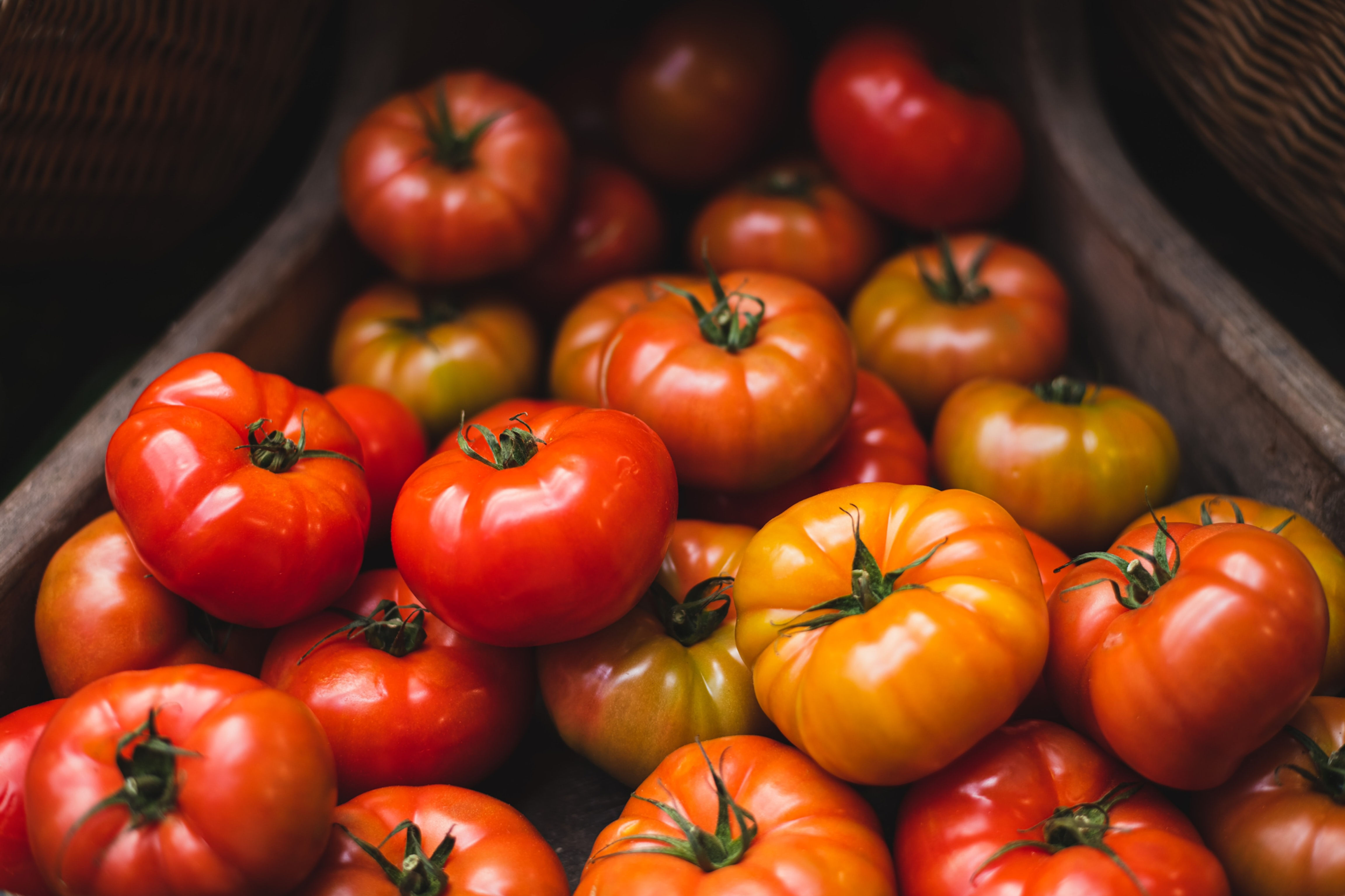 Bulk Heirloom Tomatoes