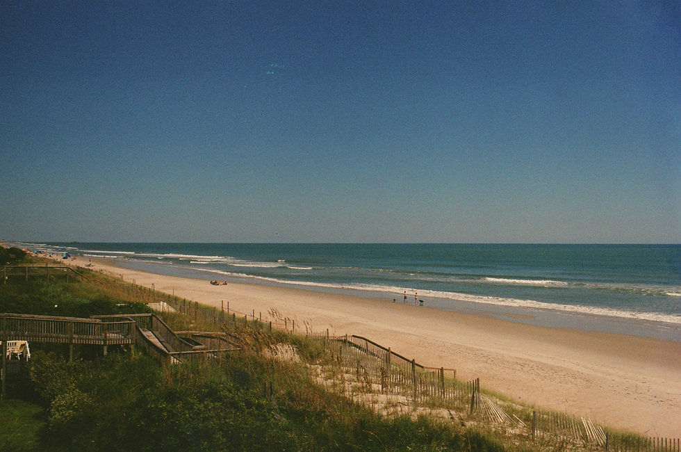 Image by Noah Morgan