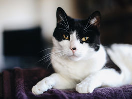 "Aydınlanmak Erkek Fantezisidir"