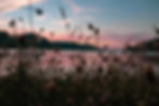 Image by Let's go Together