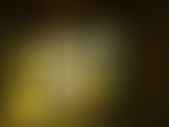 ルカによる福音書1章35、37節