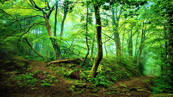 Image by Allain Siddiqui