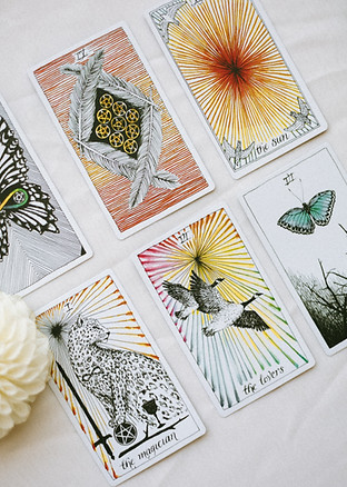 Image by Zena Rice-Sarantis