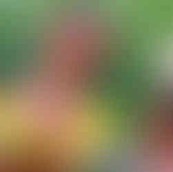 Papua New Guinea Culture