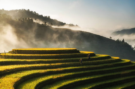 Image by Hoach Le Dinh