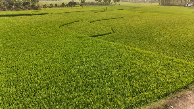 Image by Aminul Islam