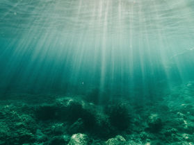 Meeting the Mermaids