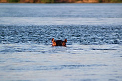 Caprivi Adventures - Zambezi Fishing