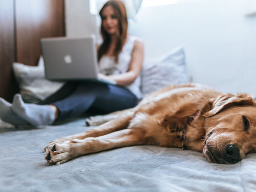 4 Ways to Reach Your Audience