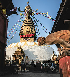 Image by Michael Starkie