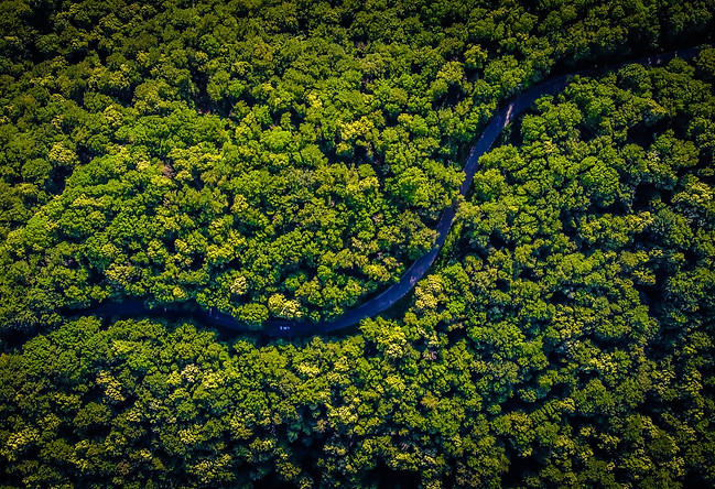 Image by Vlad Hilitanu