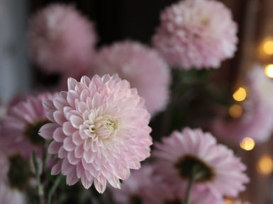 herbstblumenstrauss