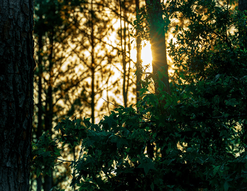 We zijn hier niet geboren om ongelukkig rond te lopen