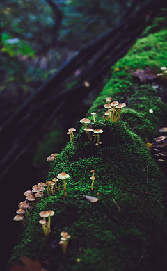 Image by Sander Weeteling