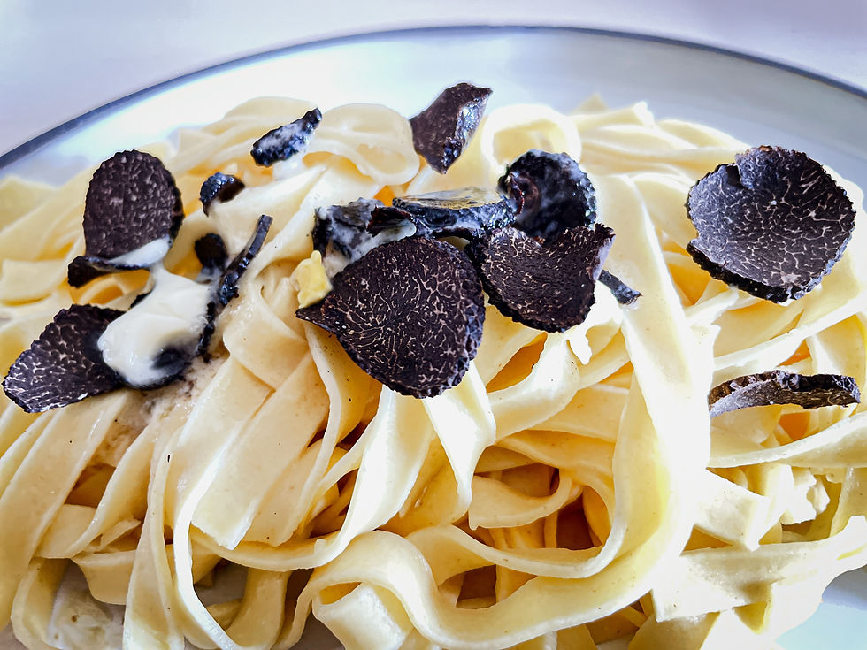 Close-up of creamy tagliatelle pasta topped with black truffle slices on a white plate. Smooth texture and rich colors evoke indulgence.