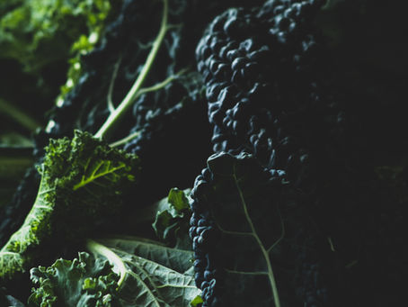 Black Tuscan Kale