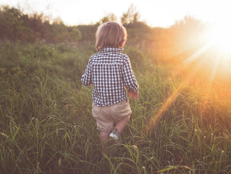 The First Five Years: Building the Foundation for Lifelong Success