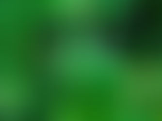 Fentanyl-Laced Marijuana: The Deadly Risk Hiding in Plain Sight