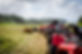ATV tour lined up, ready for adventure