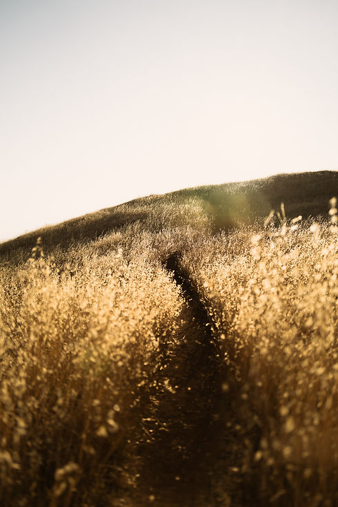 Image by Thom Milkovic