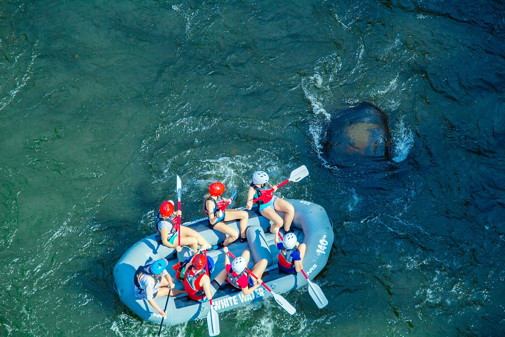 Rowing in the Same Direction