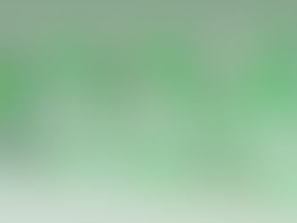 Votos da Diretoria Nacional para 2026 