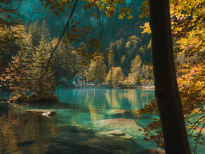 Serene lake with turquoise water surrounded by autumn trees. Sunlight filters through leaves, creating a tranquil, picturesque scene.