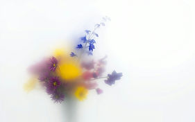 Image by Hekuran Avdili