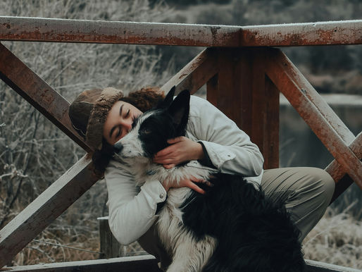Giving a dog a kiss