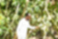 Image by Bismark Owusu-Yeboah