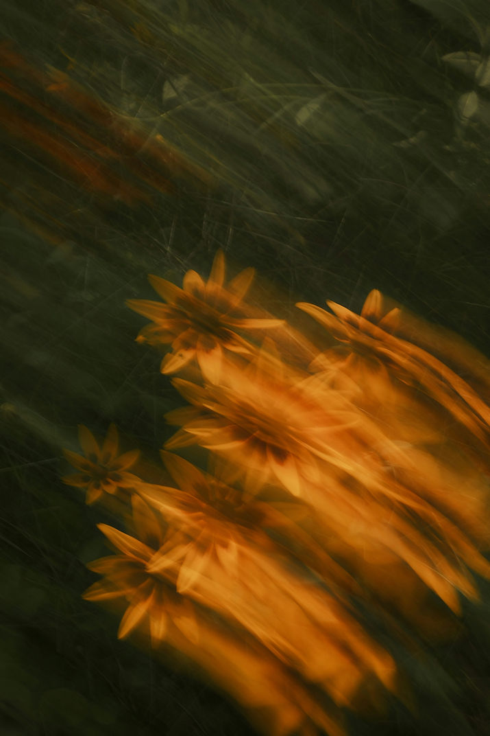 Image by Karolina Grabowska