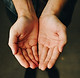 Image by Andrew Moca