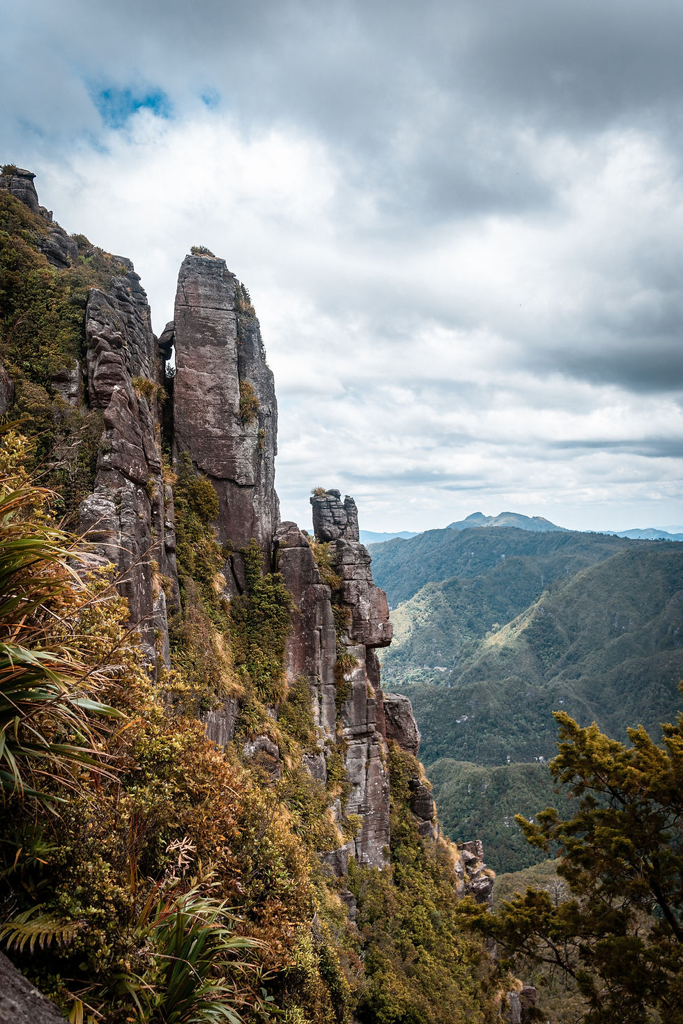 Image by Sébastien Goldberg