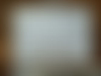 How Regulated Leaders Shape Regulated Teams (Mirror Neurons FTW)