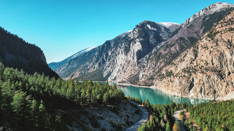 Image by David Gomez