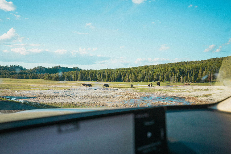 Discover the best things to do at Old Faithful, from watching the iconic geyser erupt to exploring nearby geothermal features. Learn about Old Faithful & Friends Tours, offering guided tours, family-friendly adventures, and more in Yellowstone National Park.