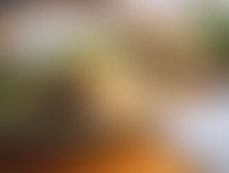 5 Benefícios do Reaproveitamento Alimentar: Evite o Desperdício e Varie Seu Cardápio!