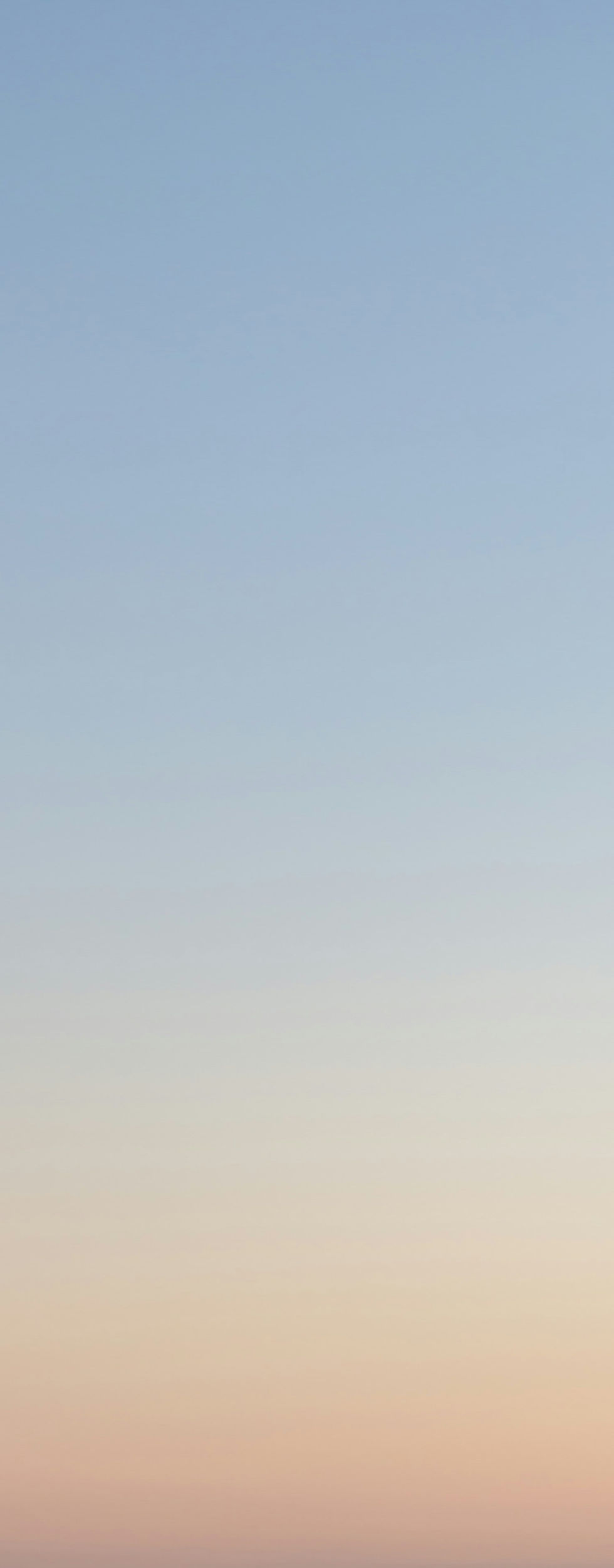 Image by César Couto