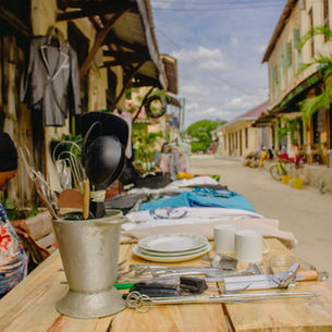 Top Swahili Phrases for Safari in Tanzania: Essential Guide for Travelers