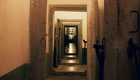 Image by Miguel Alcântara