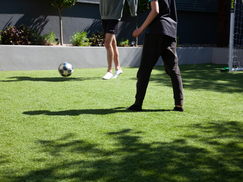 Grass for Soccer