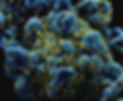 blue and green air pollution during home inpection
