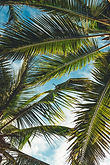 Image by Peter Fogden