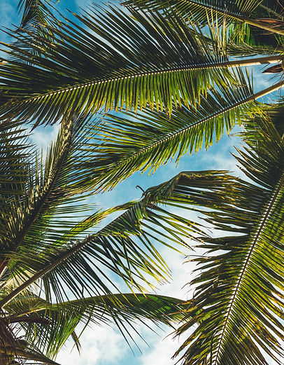 voyage sur mesure a tahiti