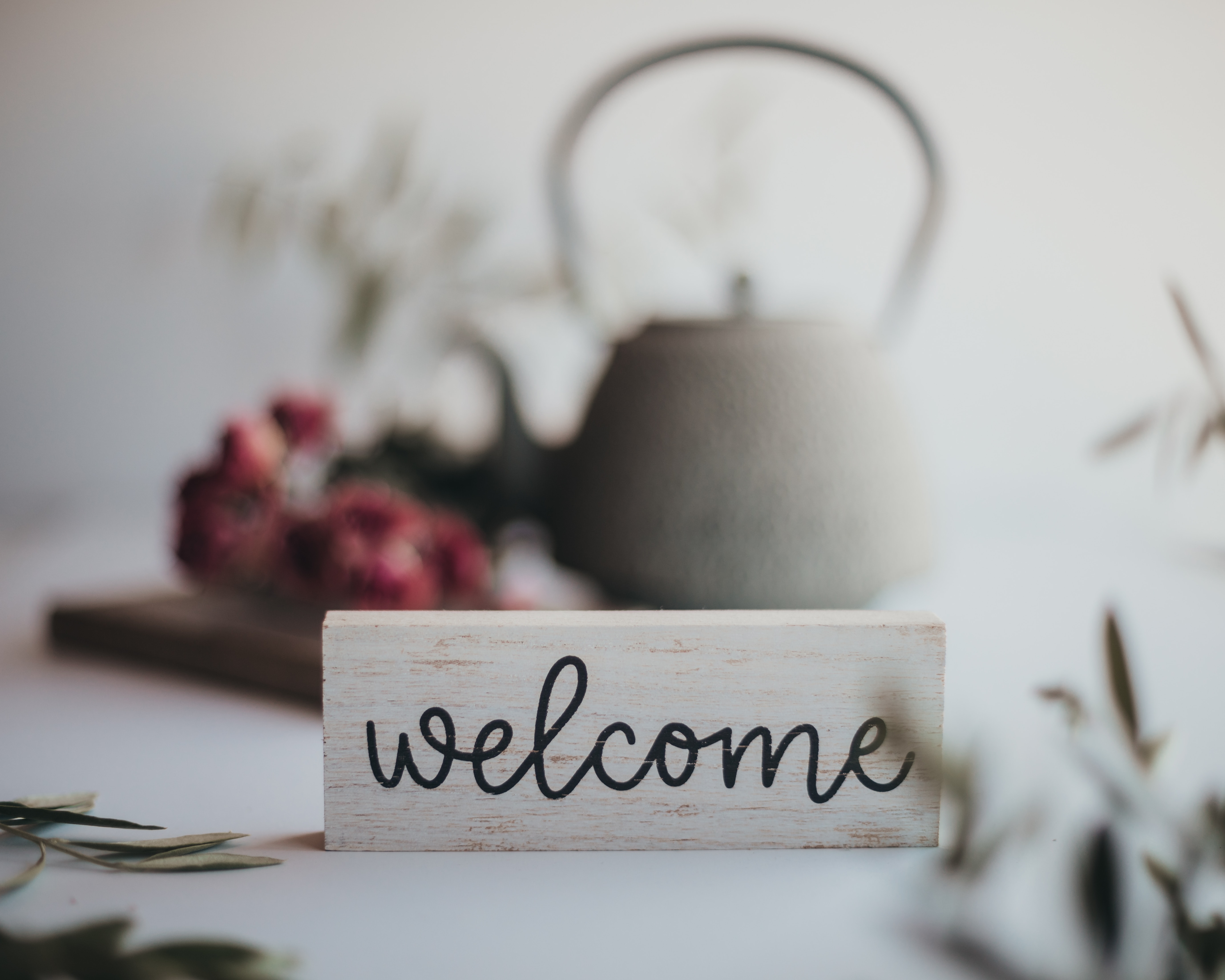 Welcome to all our new members! content media