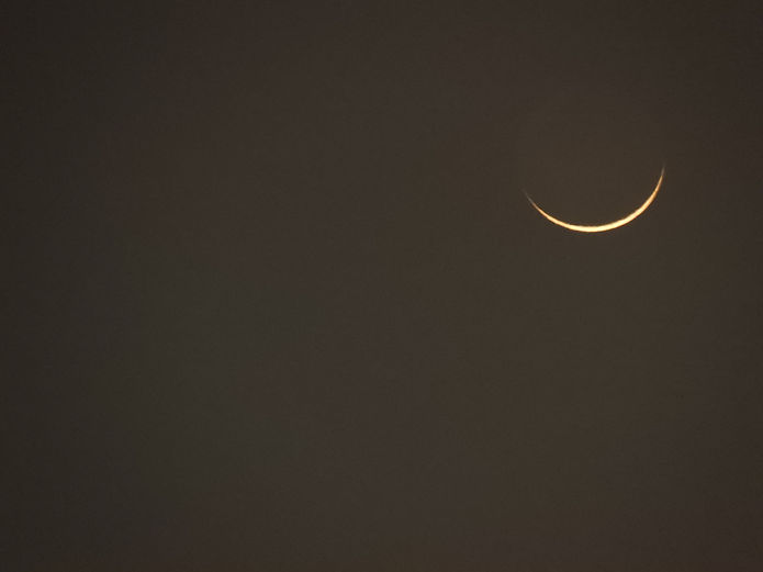 Image by Mansi Gujarathi