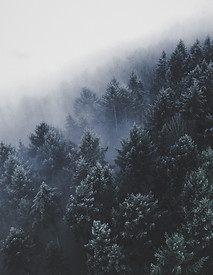 Image by Christian Grab
