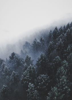 Image by Christian Grab
